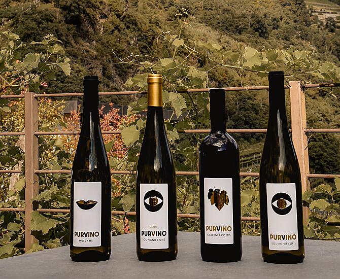 Purvino: PIWI-wijnen (Souvignier Gris, Muscaris, Cabernet Cortis)