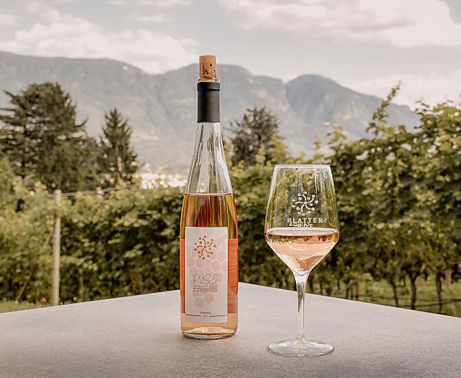 Vernatsch Rose`