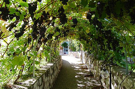 Weingut Lieselehof - Elenco Photo