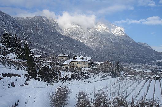 Weingut Lieselehof - Elenco Photo