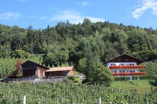 Masunerhof - Elenco Photo