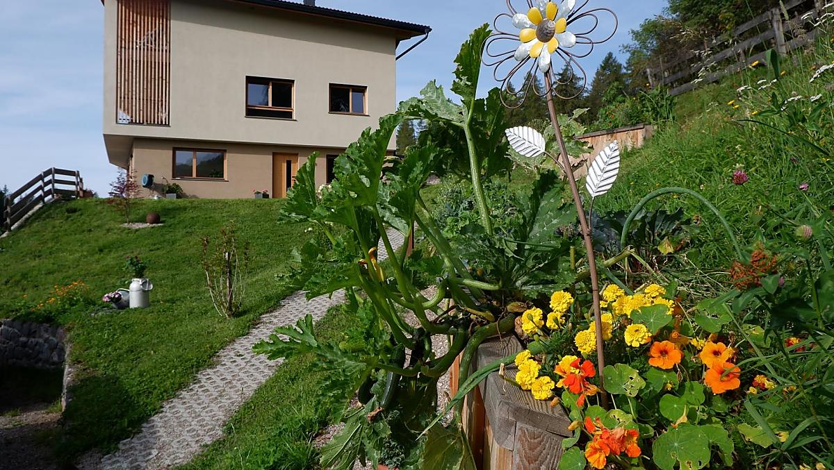 Nieuw gebouwde boerderij met mooie, natuurlijk ingerichte vakantiewoningen