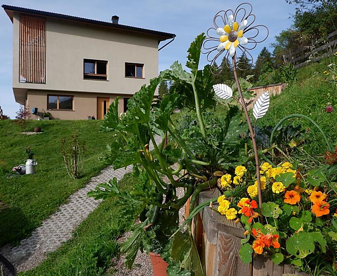 Nieuw gebouwde boerderij met mooie, natuurlijk ingerichte vakantiewoningen