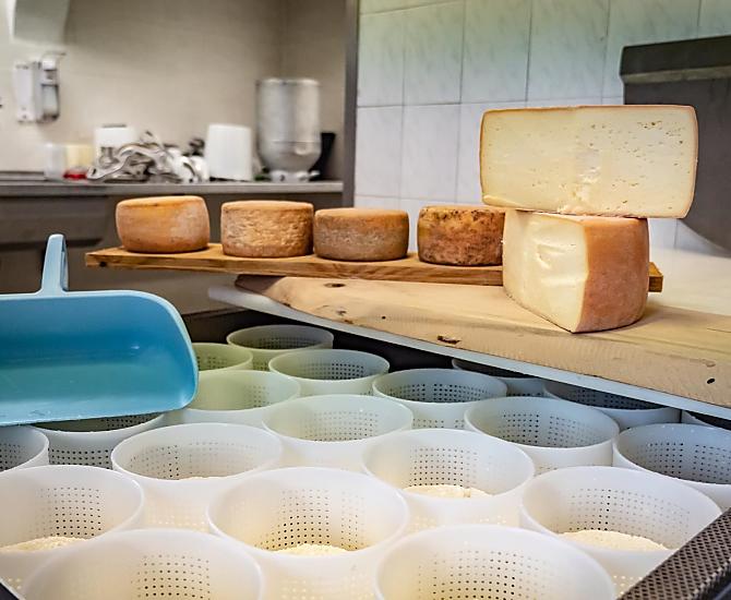 Kaasproductie in de boerderijkaasmakerij