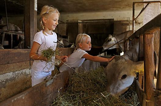 Verlotthof - Elenco Photo