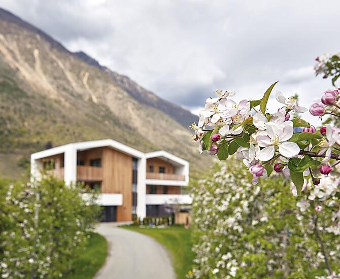 Unser Hof mitten in der Apfelblüte