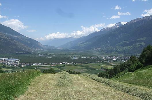 Bij de hooioogst op onze weide kun je graag meehelpen en ondertussen genieten van het prachtige uitzicht over het mooie Vinschgau.