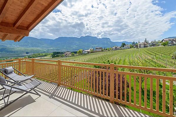 Rosenhof - Camere e appartamenti Photo