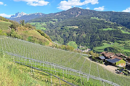 Obergostnerhof - Elenco Photo