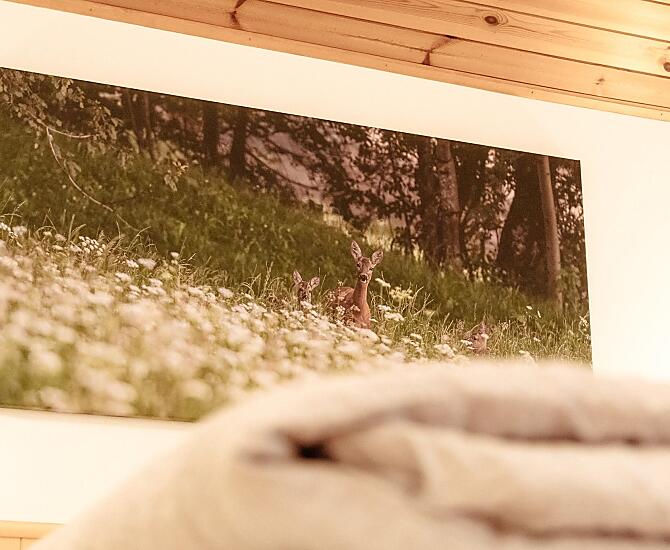 Kleineggerhof - Galleria fotografica Photo