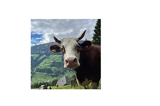 Hauerhof - list Photo