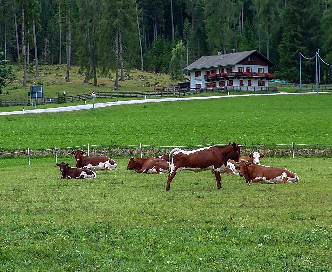 Roderhof - Galleria fotografica Photo