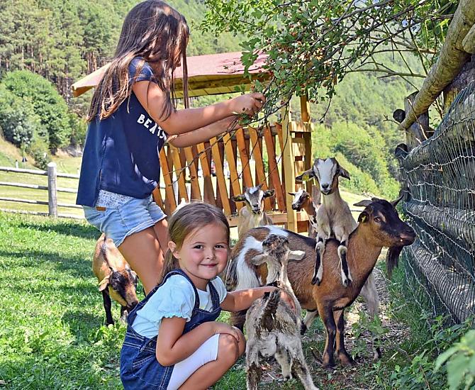 Geitjes aaien! Leer de fantastische omgang met deze dieren kennen, Julia en Leonie vergezellen jullie!