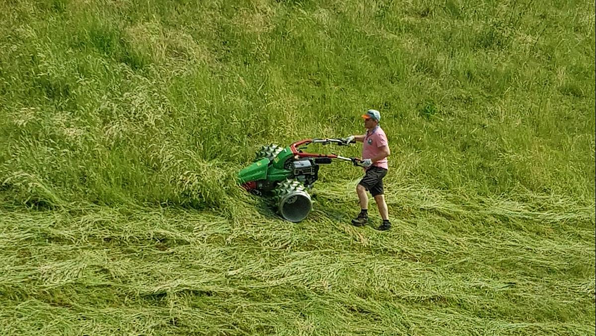 Gastheer en boer Herbert maait het gras op onze steile bergweiden met de prikrolmaaier.