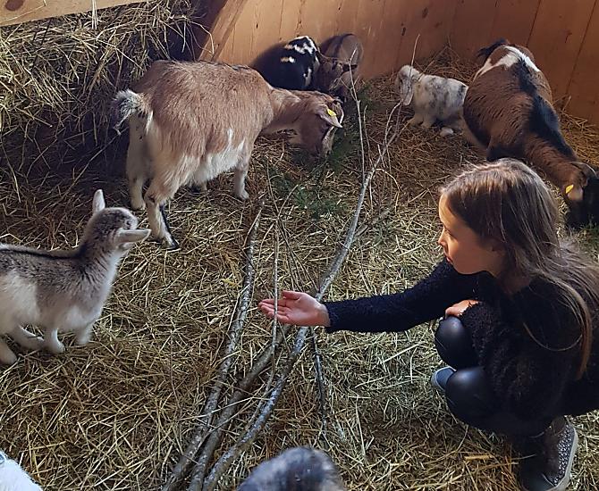 Onze Julia is, net als wij, erg begaan met het welzijn van de dieren. Gaat het goed met de nakomelingen? Is de stal schoon? Is er genoeg voer?
