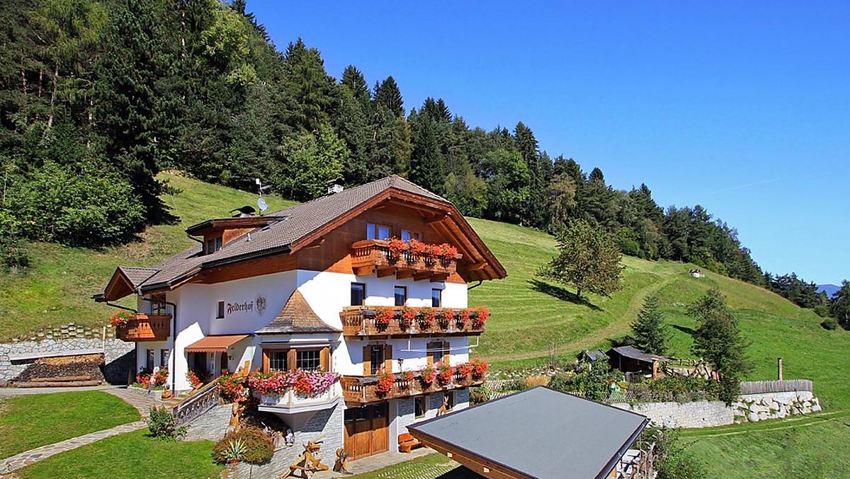 Felderhof - Galleria fotografica Photo