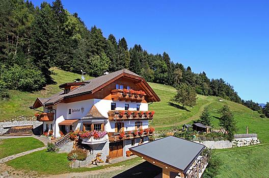 Felderhof - Elenco Photo