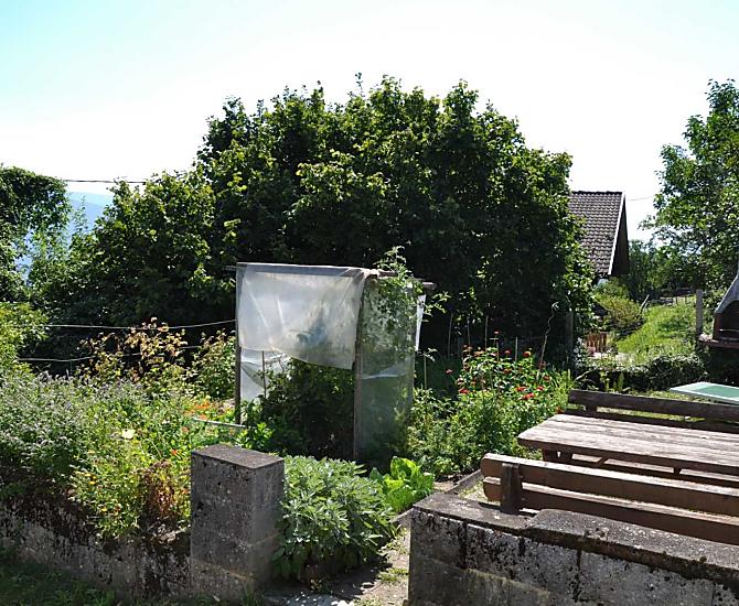 Reinmannhof - gallery Photo