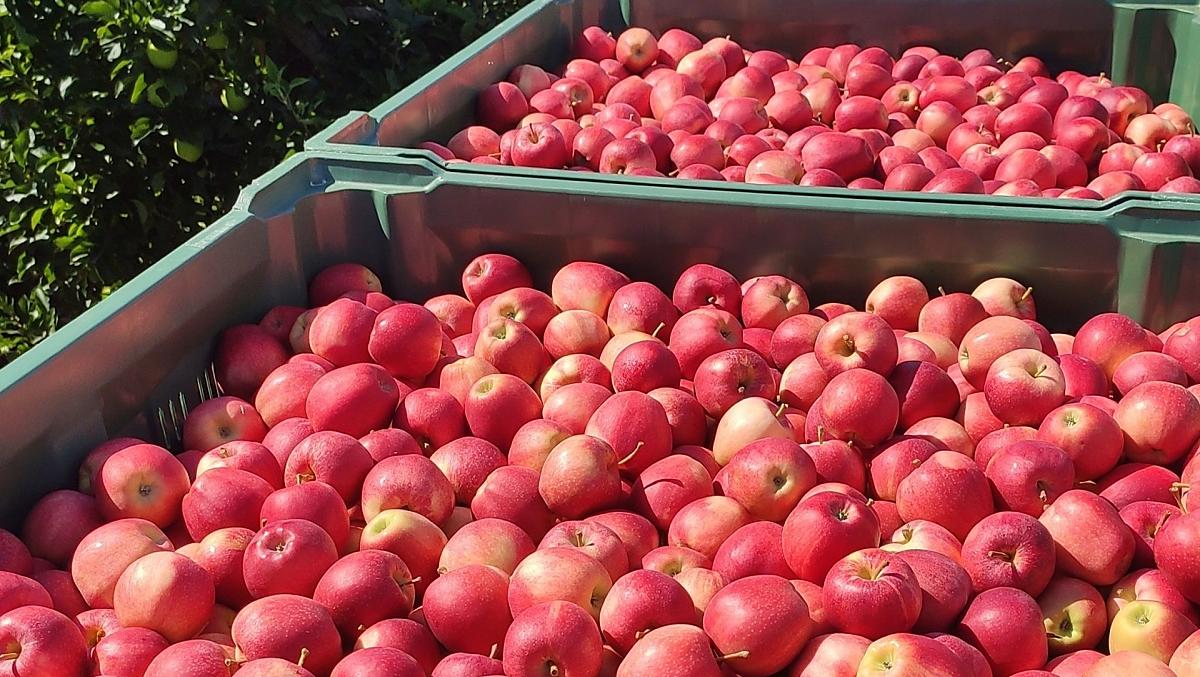 Reinmannhof - Galleria fotografica Photo