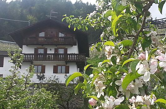 Lochmannhof - Elenco Photo