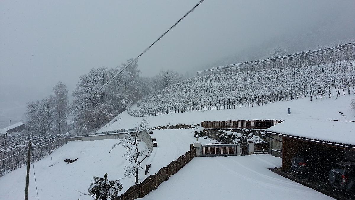 Lochmannhof - gallery Photo