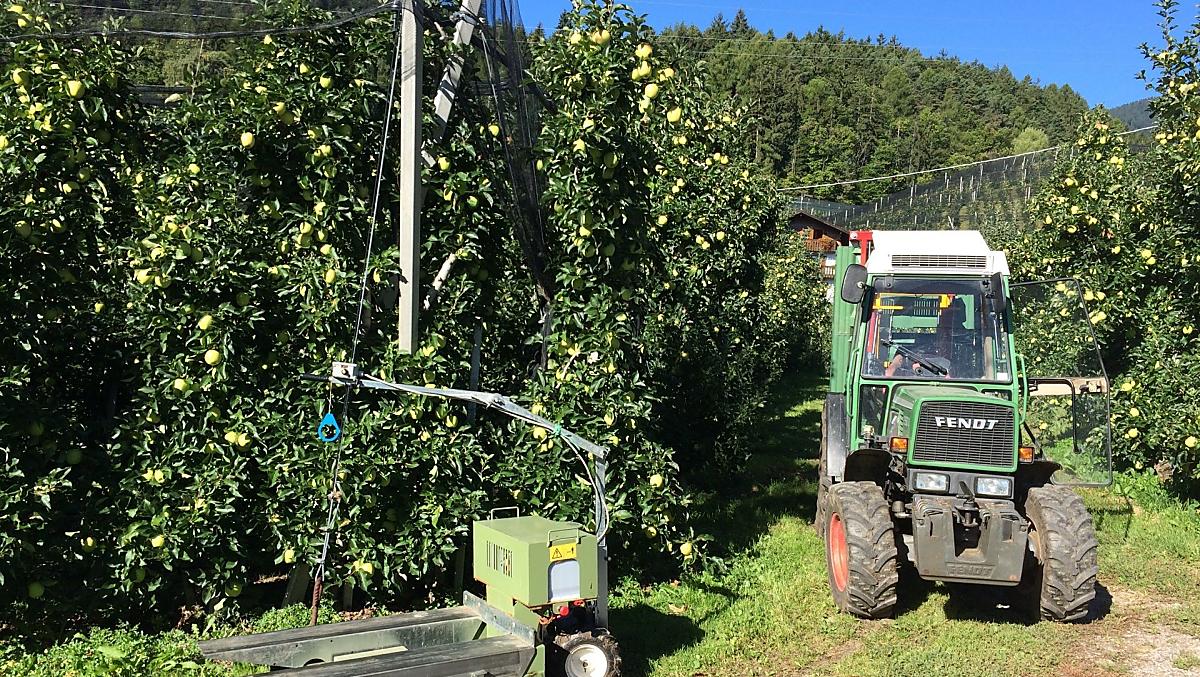 Appeloogst van augustus tot oktober
