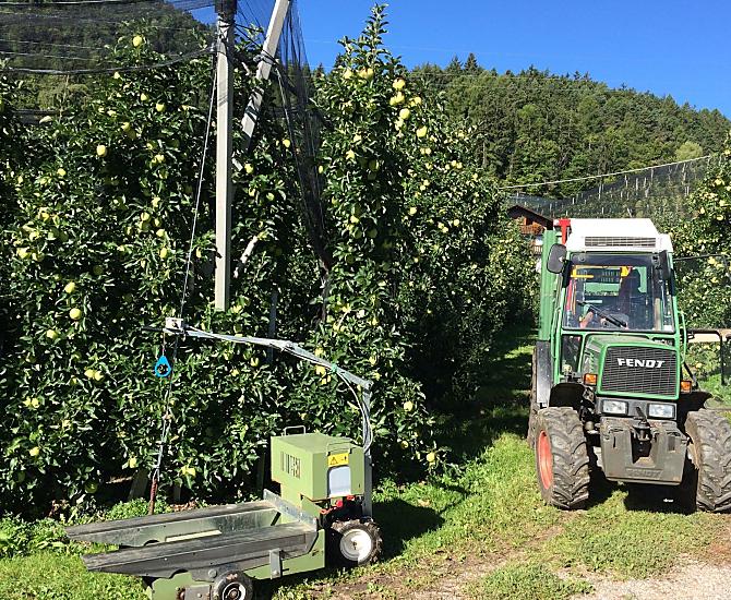 Appeloogst van augustus tot oktober