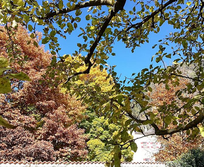 Herfstsfeer in onze tuin, grenzend aan kasteel Ansiedl