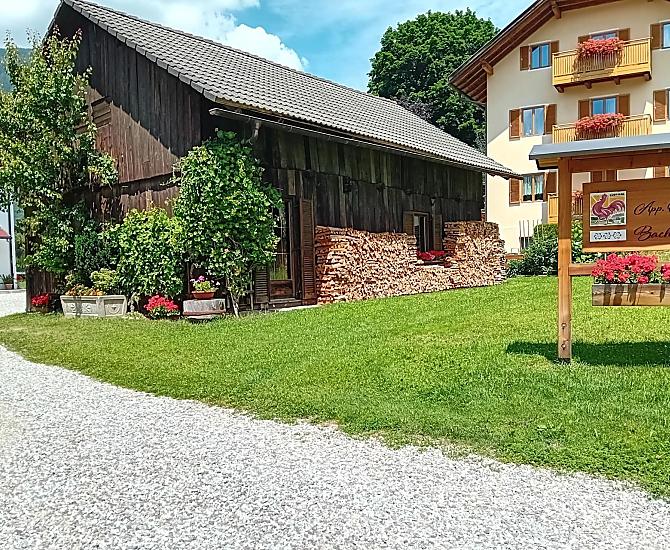 Bachlechnerhof - gallery Photo