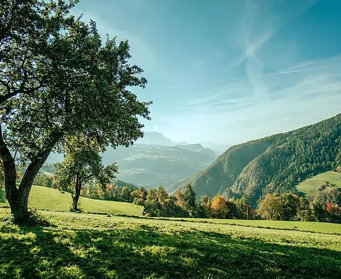 Telfnerhof - Galleria fotografica Photo