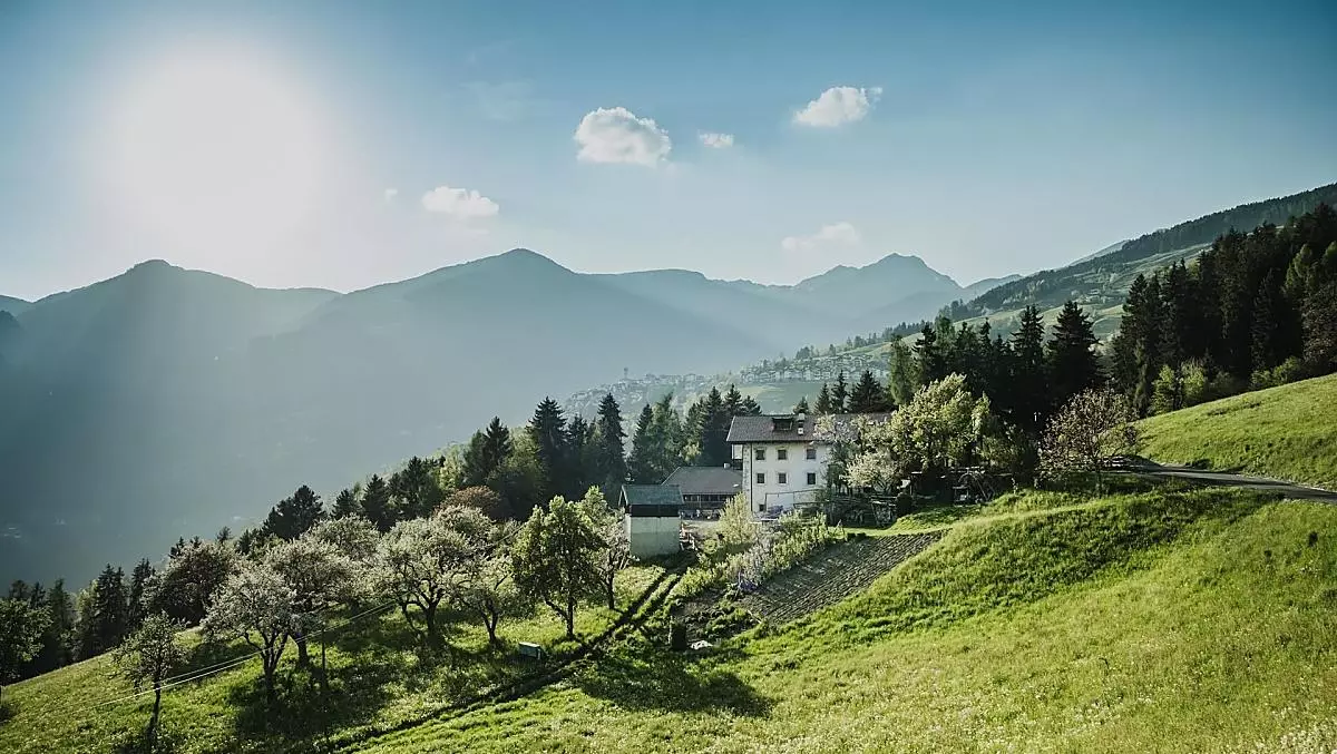 Telfnerhof - Galleria fotografica Photo