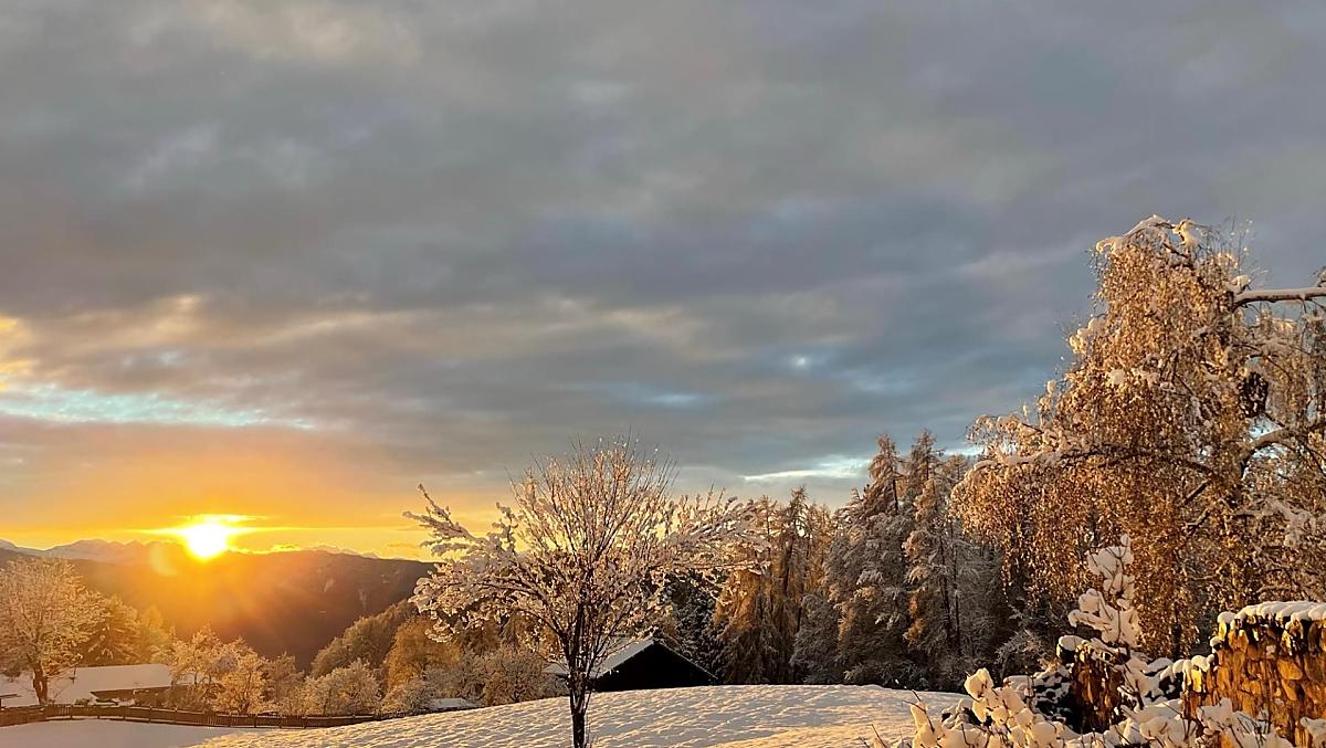 Trotnerhof - gallery Photo