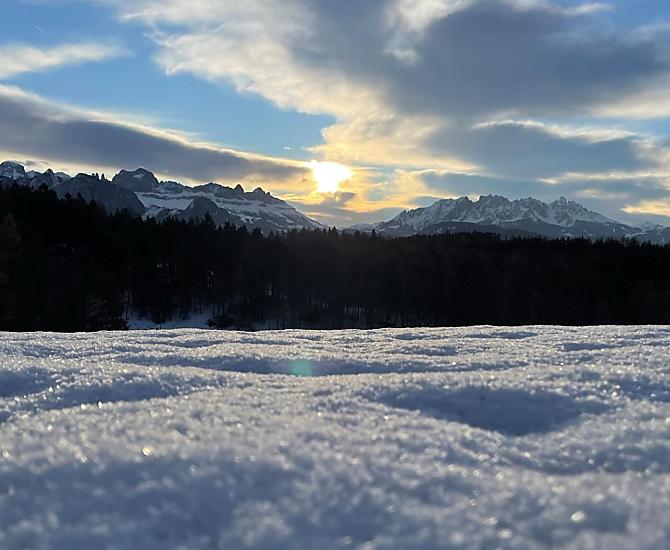 Trotnerhof - gallery Photo
