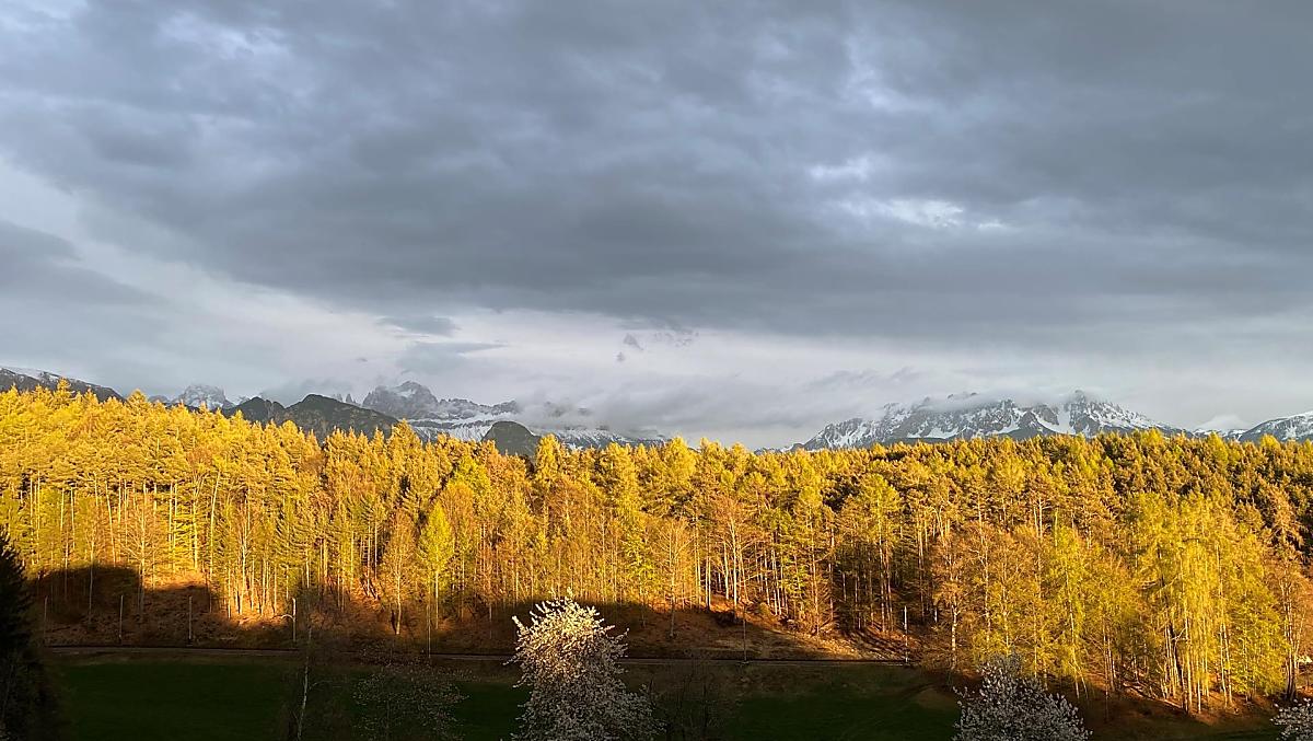 Trotnerhof - gallery Photo
