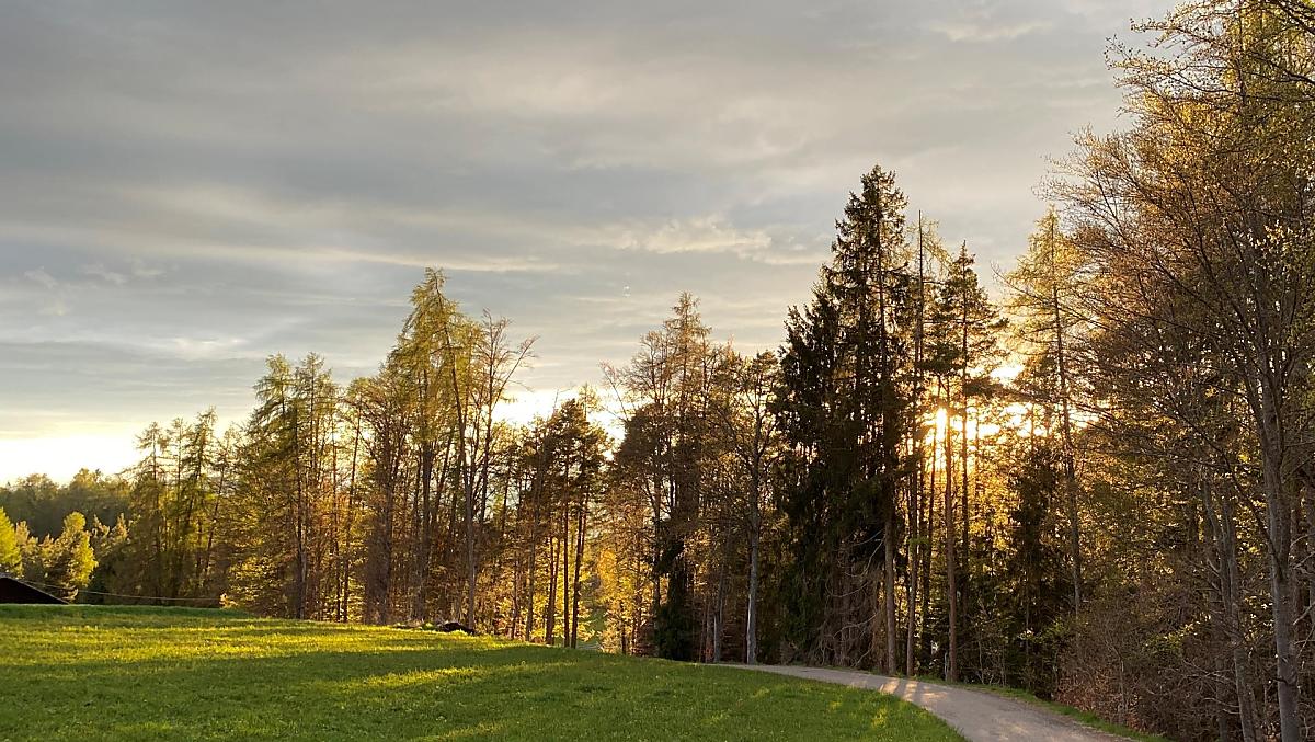 Trotnerhof - Galleria fotografica Photo