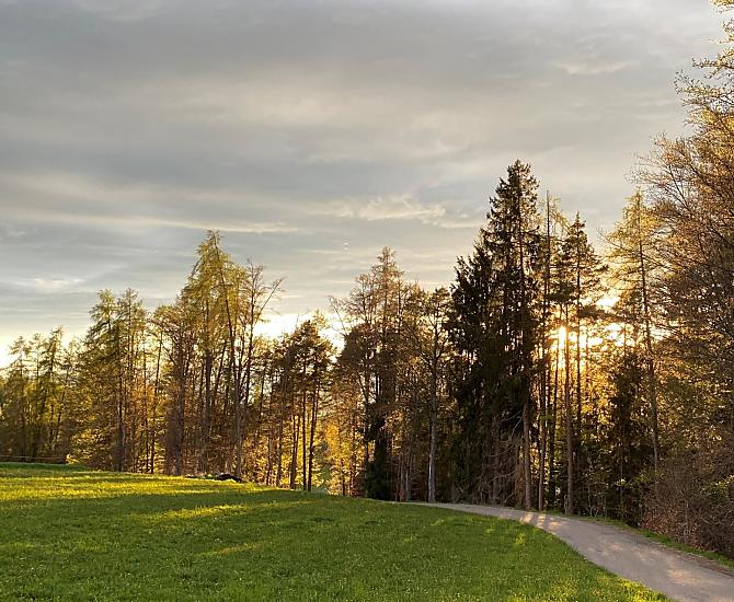 Trotnerhof - Galleria fotografica Photo