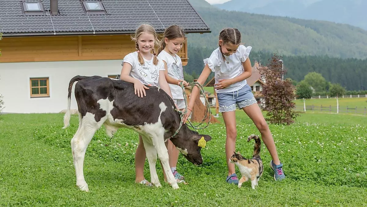 Bäckerhof - Galleria fotografica Photo