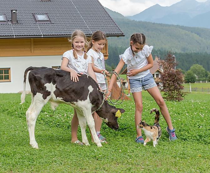Bäckerhof - Galleria fotografica Photo
