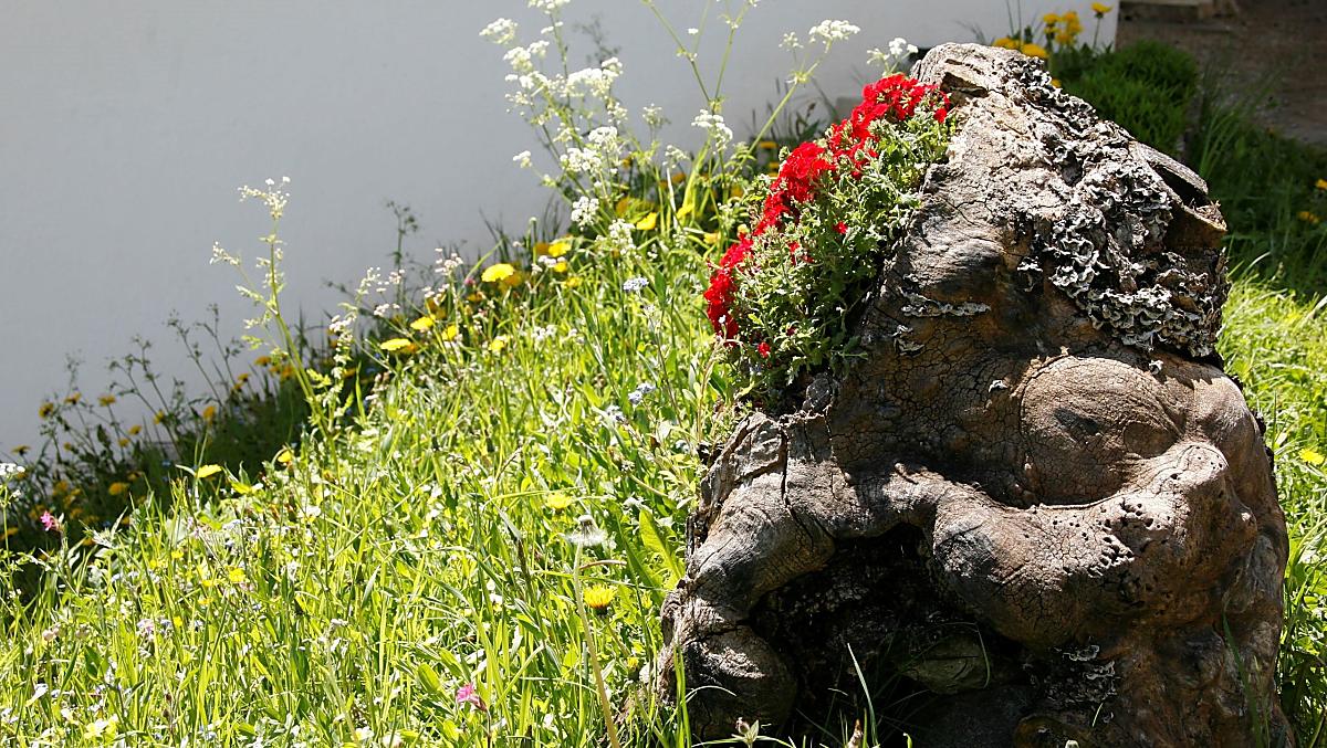 Bloemen maken onze ingang nog mooier