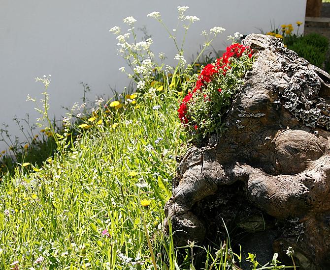 Bloemen maken onze ingang nog mooier