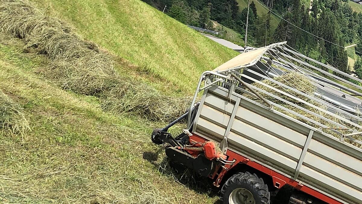 Hooioogst op steile hellingen