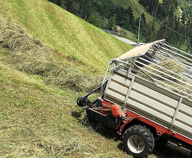 Hooioogst op steile hellingen