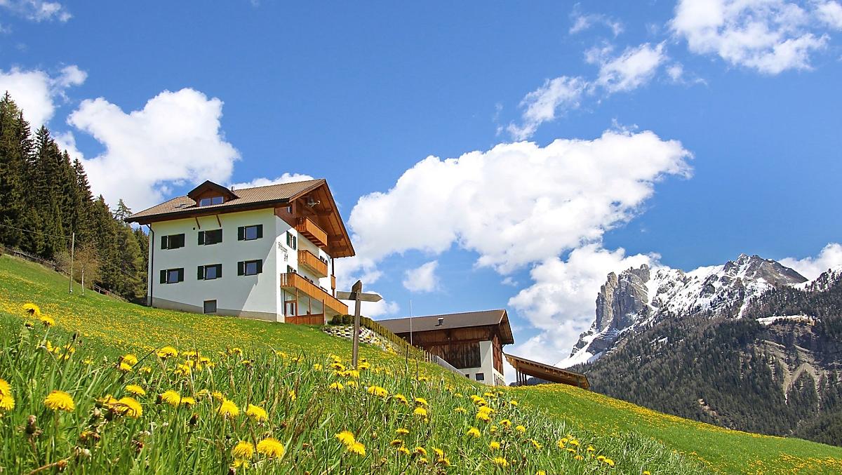Felthunerhof - gallery Photo