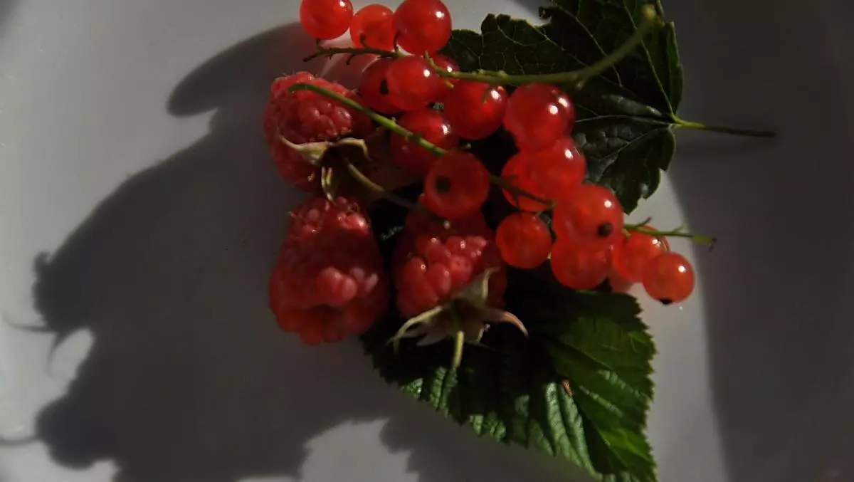Frambozen en aalbessen voor een heerlijke jam