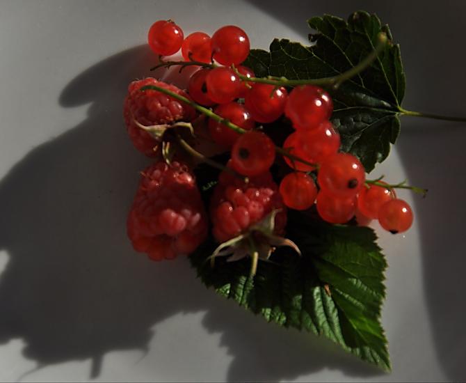 Frambozen en aalbessen voor een heerlijke jam