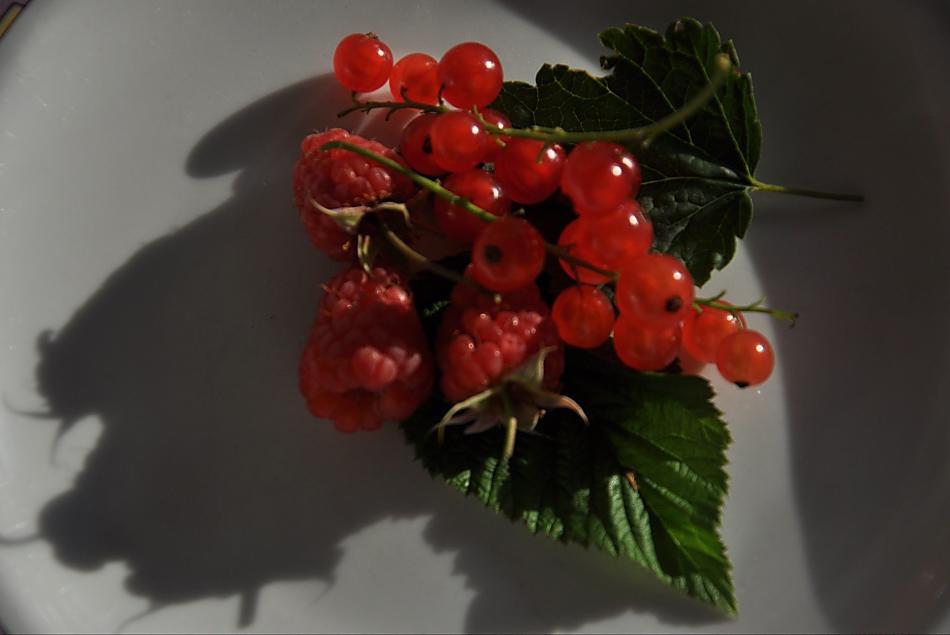 Frambozen en aalbessen voor een heerlijke jam