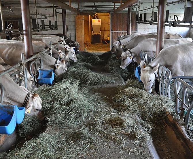 Twee keer per dag stalwerk 