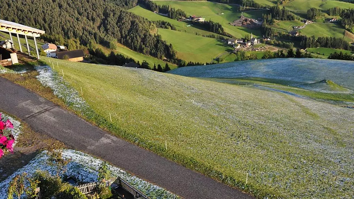 De eerste sneeuw in oktober