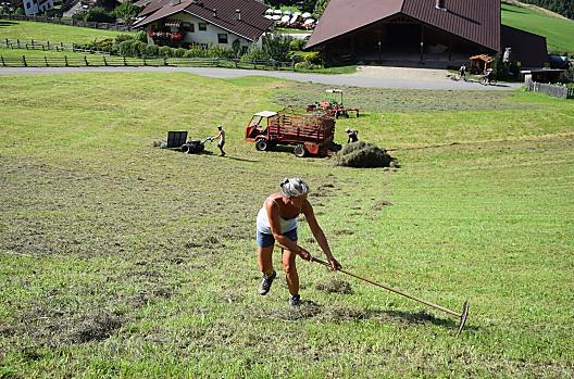 Hooiwerk in de zomer