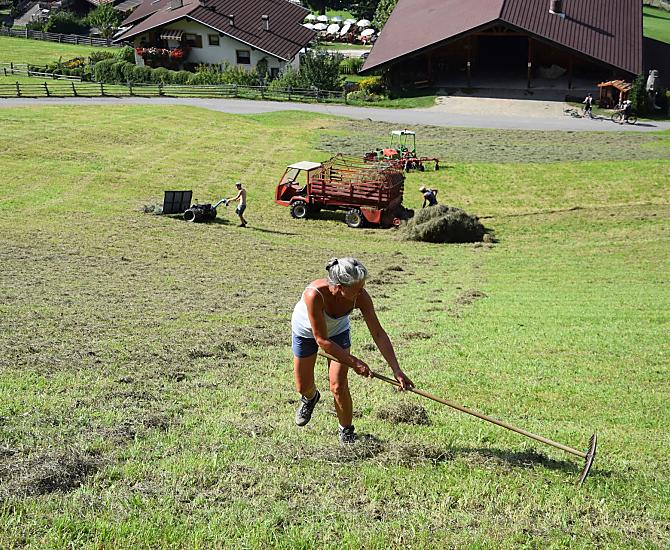 Hooiwerk in de zomer